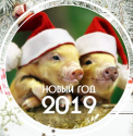 «Қазақстан су жолдары» РМҚК 2019 жыл - Жаңа жылмен құттықтауы