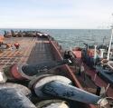 2025 жылғы 03 қарашадан бастап 09 қараша аралығында Жоғары-Ертіс филиалындағы  іс-шаралар жоспарын орындау туралы есеп